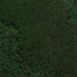 Satellite imagery of O’Hara Bluff, AU
