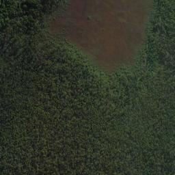 Satellite imagery of Blue Point, NZ