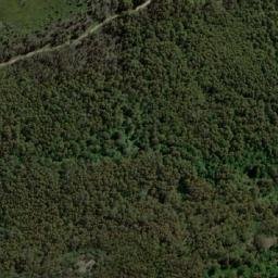 Satellite imagery of Morrison Hill, AU