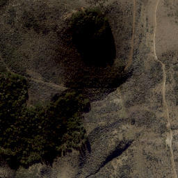 Satellite imagery of Bullock Hill, NZ