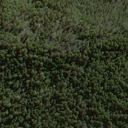 Satellite imagery of Green Top, AU