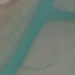 Satellite imagery of Woodcutters Point, NZ
