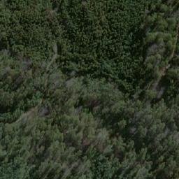 Satellite imagery of Bog Hill, AU