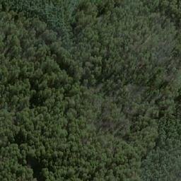 Satellite imagery of Bog Hill, AU