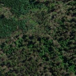 Satellite imagery of Loop Hill, AU