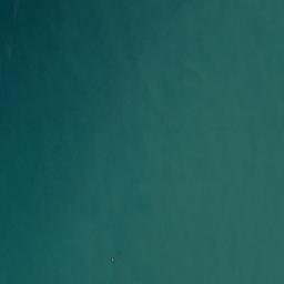 Satellite imagery of Waitahi Bluff, NZ