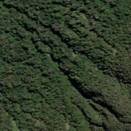 Satellite imagery of Clearview Spur, NZ