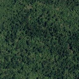 Satellite imagery of Waitaki Bluff, NZ