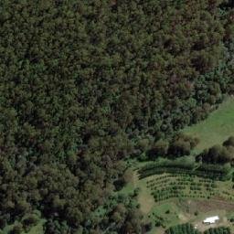 Satellite imagery of Pig and Whistle Hill, AU