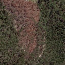 Satellite imagery of Pig and Whistle Hill, AU