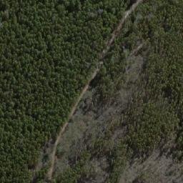 Satellite imagery of Sassafras Hill, AU