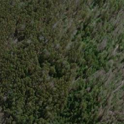 Satellite imagery of Sassafras Hill, AU