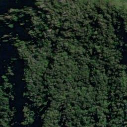 Satellite imagery of Canopy Bluff, NZ