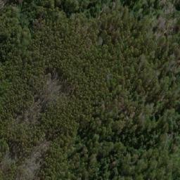 Satellite imagery of Sassafras Hill, AU