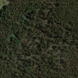 Satellite imagery of Mount Cygnet, AU