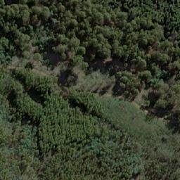 Satellite imagery of Tongatabu, AU