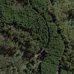 Satellite imagery of Tongatabu, AU