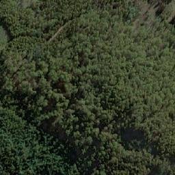Satellite imagery of Tongatabu, AU