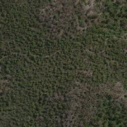 Satellite imagery of Wilson Hill, AU