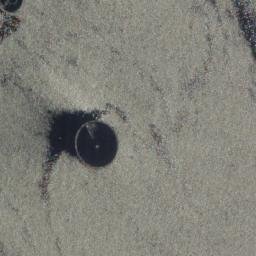Satellite imagery of Police Point, AU
