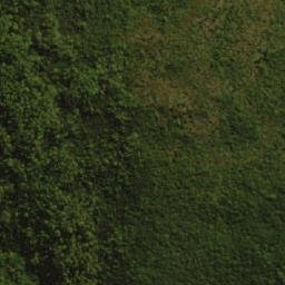 Satellite imagery of Mount Snowy, AU