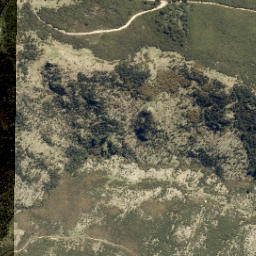 Satellite imagery of Kowai Bush Spur, NZ