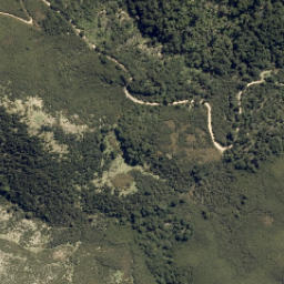 Satellite imagery of Kowai Bush Spur, NZ