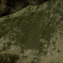 Satellite imagery of Kowai Bush Spur, NZ