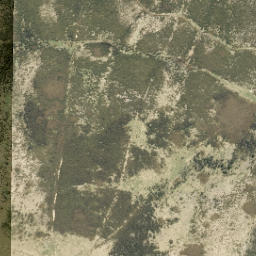 Satellite imagery of Kowai Bush Spur, NZ