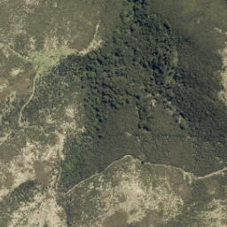 Satellite imagery of Kowai Bush Spur, NZ