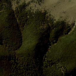 Satellite imagery of Kowai Bush Spur, NZ