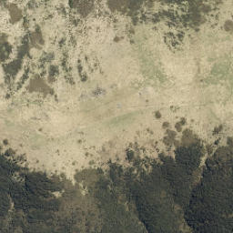 Satellite imagery of Kowai Bush Spur, NZ