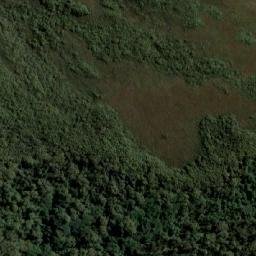 Satellite imagery of Davey Head, AU