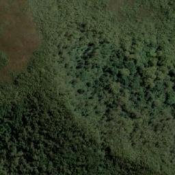 Satellite imagery of Davey Head, AU