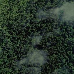 Satellite imagery of Omoeroa Bluff, NZ