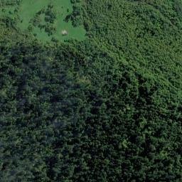 Satellite imagery of Omoeroa Bluff, NZ