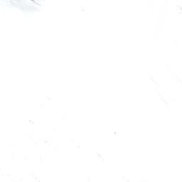 Satellite imagery of Eves Rib, NZ