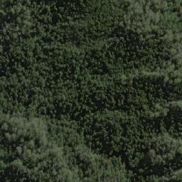 Satellite imagery of Forest Hills, AU