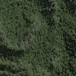 Satellite imagery of Forest Hills, AU
