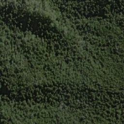 Satellite imagery of Forest Hills, AU