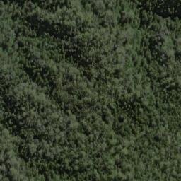 Satellite imagery of Forest Hills, AU