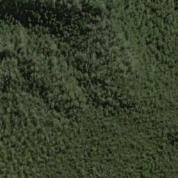 Satellite imagery of Forest Hills, AU