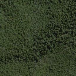 Satellite imagery of Forest Hills, AU