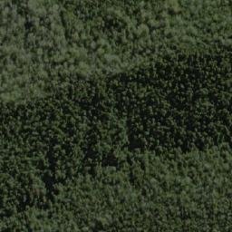 Satellite imagery of Forest Hills, AU