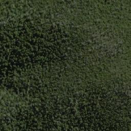 Satellite imagery of Forest Hills, AU