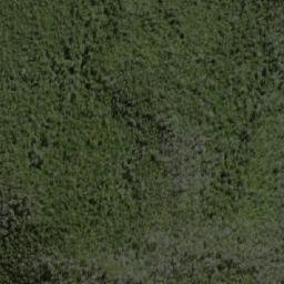 Satellite imagery of Forest Hills, AU