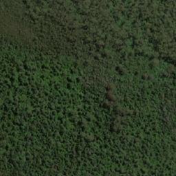 Satellite imagery of Mount Tobin, AU