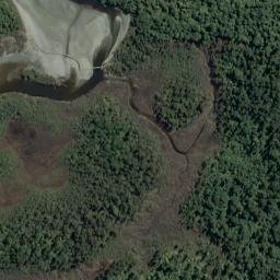 Satellite imagery of Waikohai Bluff, NZ