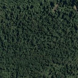 Satellite imagery of Waikohai Bluff, NZ