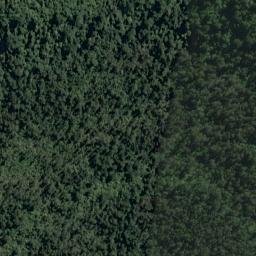 Satellite imagery of Waikohai Bluff, NZ
